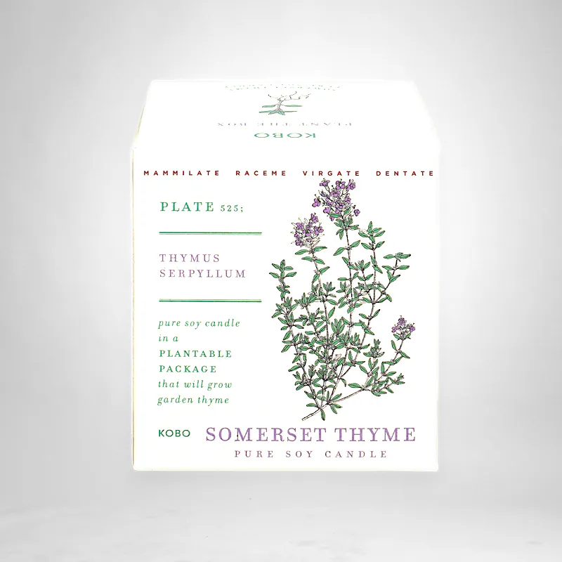 Kobo Somerset Candle